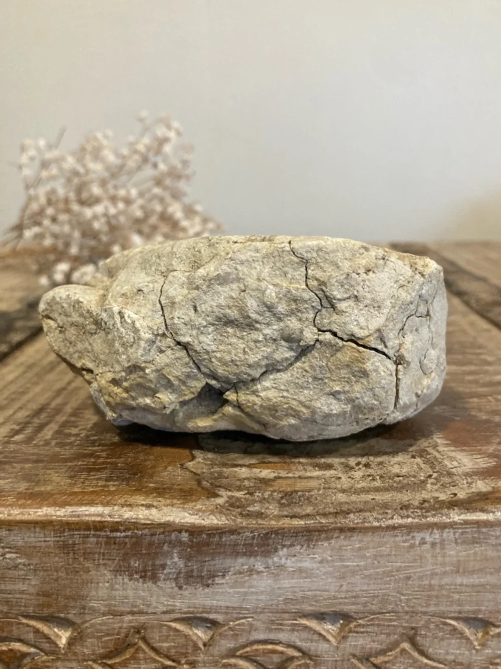 Fossilized Shell Chunk Stone Decor